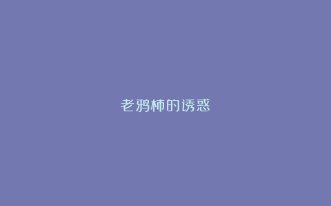 老鸦柿的诱惑