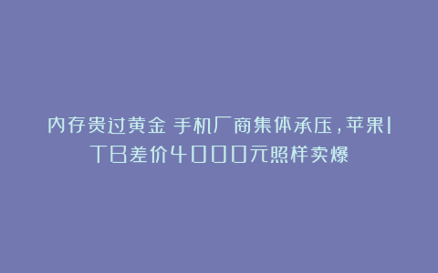 内存贵过黄金！手机厂商集体承压，苹果1TB差价4000元照样卖爆