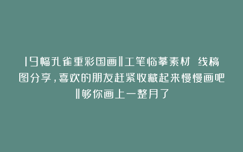 19幅孔雀重彩国画‖工笔临摹素材 线稿图分享，喜欢的朋友赶紧收藏起来慢慢画吧‖够你画上一整月了