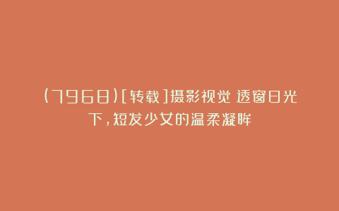 (7968)[转载]摄影视觉：透窗日光下，短发少女的温柔凝眸