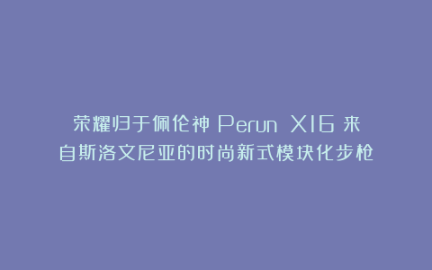荣耀归于佩伦神：Perun X16：来自斯洛文尼亚的时尚新式模块化步枪