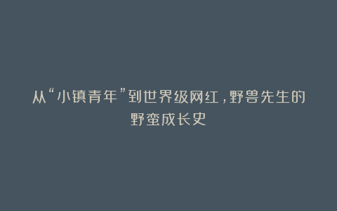 从“小镇青年”到世界级网红，野兽先生的野蛮成长史