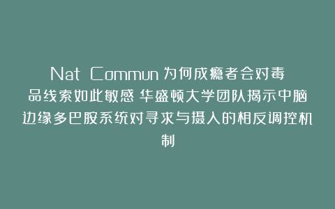 Nat Commun：为何成瘾者会对毒品线索如此敏感？华盛顿大学团队揭示中脑边缘多巴胺系统对寻求与摄入的相反调控机制