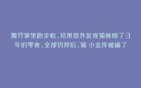 搬开家里跑步机,结果意外发现猫咪囤了3年的零食,全部扔掉后,猫:小金库被端了?