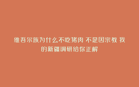 维吾尔族为什么不吃猪肉？不是因宗教！我的新疆调研给你正解