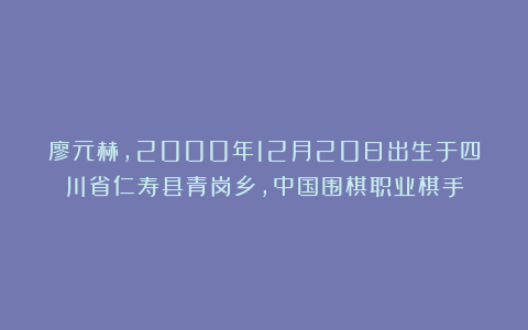 廖元赫，2000年12月20日出生于四川省仁寿县青岗乡，中国围棋职业棋手