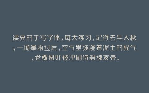 漂亮的手写字体，每天练习，记得去年入秋，一场暴雨过后，空气里弥漫着泥土的腥气，老槐树叶被冲刷得碧绿发亮。