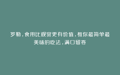 罗勒,食用比观赏更有价值,教你最简单最美味的吃法,满口留香!