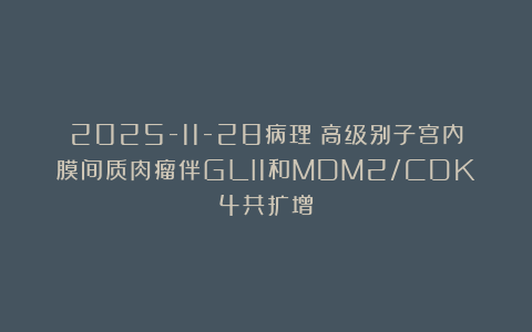 2025-11-28病理:高级别子宫内膜间质肉瘤伴GLI1和MDM2/CDK4共扩增