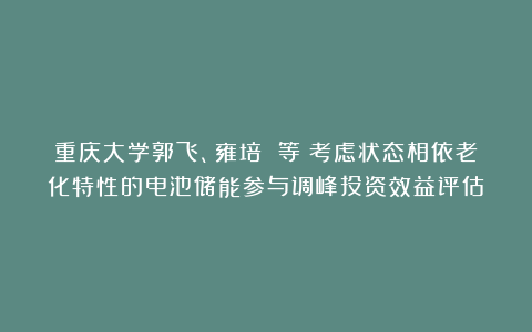 重庆大学郭飞、雍培 等:考虑状态相依老化特性的电池储能参与调峰投资效益评估