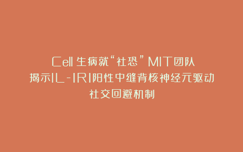 《Cell》生病就“社恐”?MIT团队揭示IL-1R1阳性中缝背核神经元驱动社交回避机制