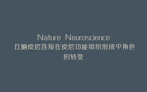 Nature Neuroscience：丘脑皮层连接在皮层功能组织形成中角色的转变