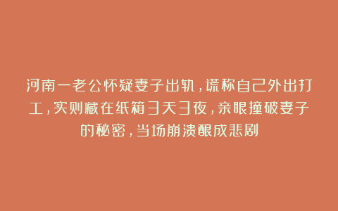 河南一老公怀疑妻子出轨，谎称自己外出打工，实则藏在纸箱3天3夜，亲眼撞破妻子的秘密，当场崩溃酿成悲剧