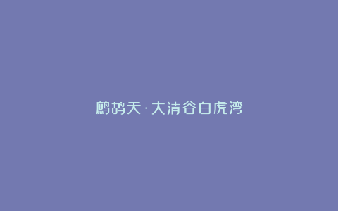 鹧鸪天·大清谷白虎湾