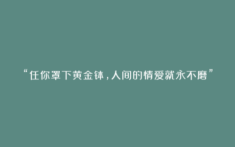 “任你罩下黄金钵，人间的情爱就永不磨”