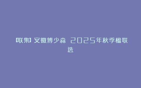 【联集】安徽傅少森 2025年秋季楹联选