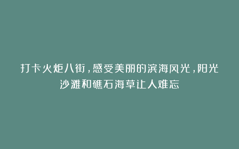 打卡火炬八街，感受美丽的滨海风光，阳光沙滩和礁石海草让人难忘
