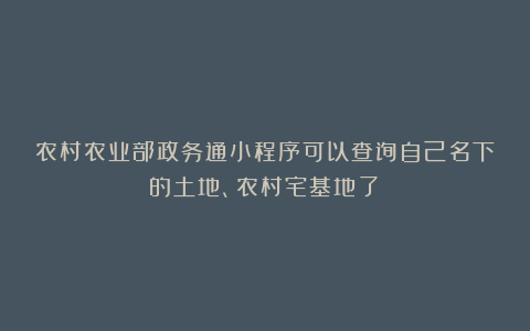 农村农业部政务通小程序可以查询自己名下的土地、农村宅基地了！