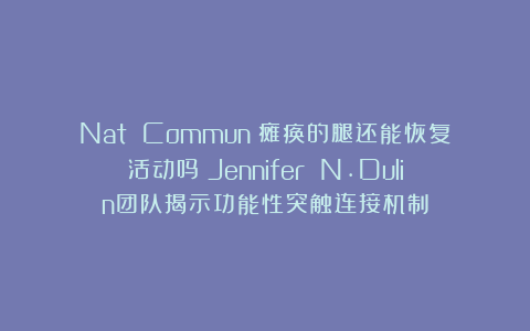 Nat Commun：瘫痪的腿还能恢复活动吗？Jennifer N.Dulin团队揭示功能性突触连接机制