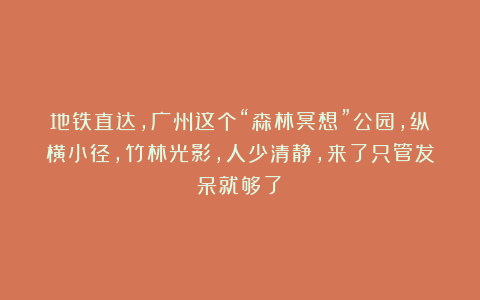地铁直达，广州这个“森林冥想”公园，纵横小径，竹林光影，人少清静，来了只管发呆就够了！