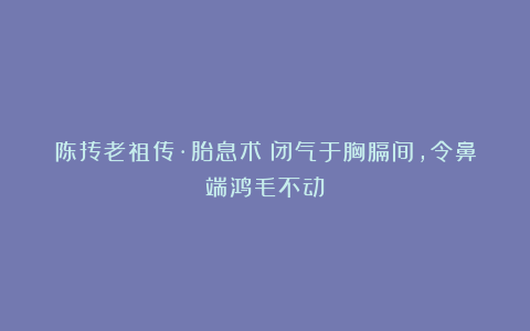 陈抟老祖传·胎息术：闭气于胸膈间，令鼻端鸿毛不动