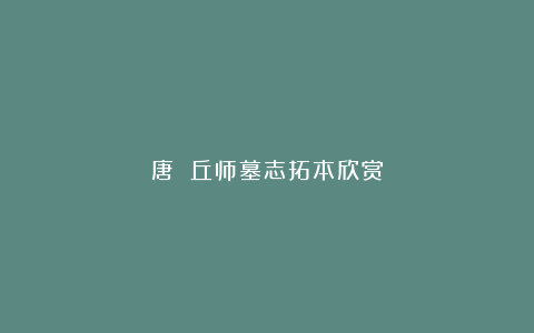 唐 丘师墓志拓本欣赏