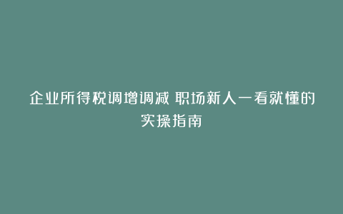 企业所得税调增调减：职场新人一看就懂的实操指南