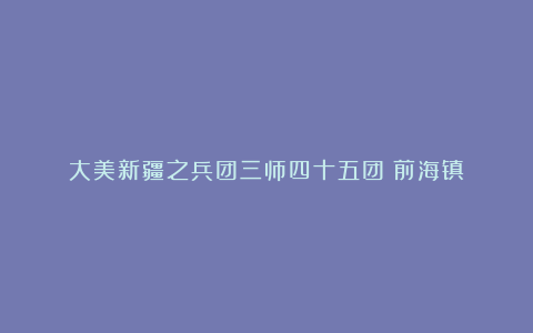 大美新疆之兵团三师四十五团（前海镇）