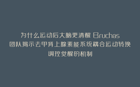 为什么运动后大脑更清醒？Bruchas团队揭示去甲肾上腺素能系统耦合运动转换调控觉醒的机制