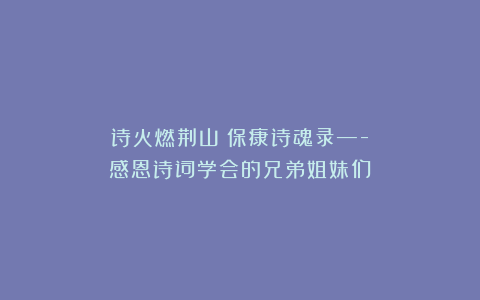诗火燃荆山：保康诗魂录—-感恩诗词学会的兄弟姐妹们