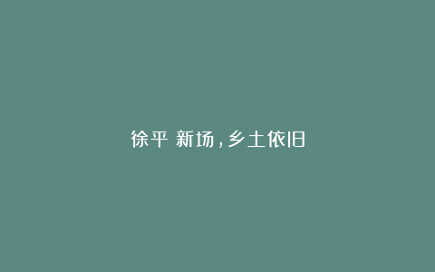 徐平︱新场，乡土依旧