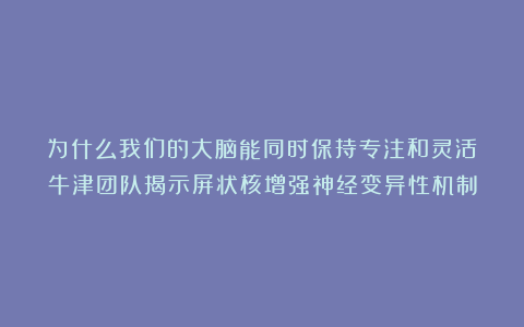 为什么我们的大脑能同时保持专注和灵活？牛津团队揭示屏状核增强神经变异性机制