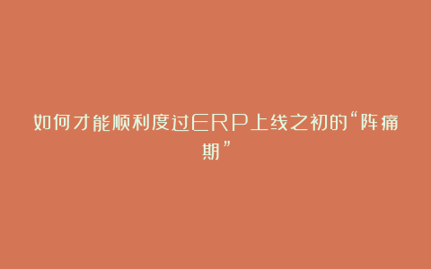 如何才能顺利度过ERP上线之初的“阵痛期”