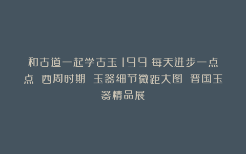 和古道一起学古玉（199）每天进步一点点 西周时期 玉器细节微距大图 晋国玉器精品展