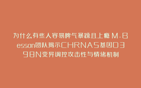 为什么有些人容易脾气暴躁且上瘾？M.Besson团队揭示CHRNA5基因D398N变异调控攻击性与情绪机制