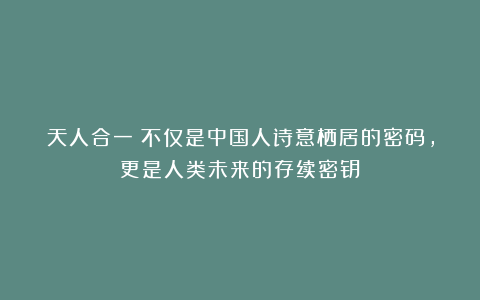 天人合一：不仅是中国人诗意栖居的密码，更是人类未来的存续密钥
