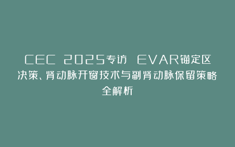 CEC 2025专访| EVAR锚定区决策、肾动脉开窗技术与副肾动脉保留策略全解析
