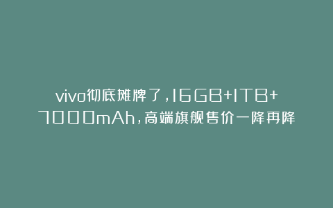 vivo彻底摊牌了，16GB+1TB+7000mAh，高端旗舰售价一降再降