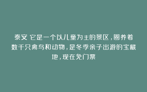 泰安：它是一个以儿童为主的景区，圈养着数千只禽鸟和动物，是冬季亲子出游的宝藏地，现在免门票
