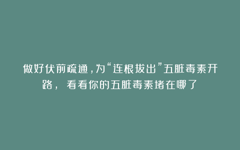 做好伏前疏通，为“连根拔出”五脏毒素开路， 看看你的五脏毒素堵在哪了？