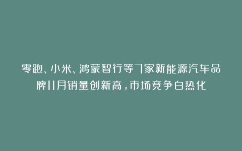 零跑、小米、鸿蒙智行等7家新能源汽车品牌11月销量创新高，市场竞争白热化