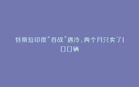 特斯拉印度“首战”遇冷，两个月只卖了100辆