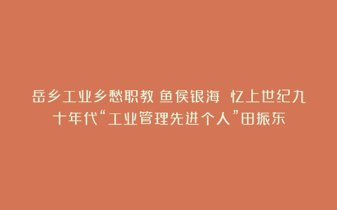 岳乡工业乡愁职教鲶鱼侯银海 忆上世纪九十年代“工业管理先进个人”田振东