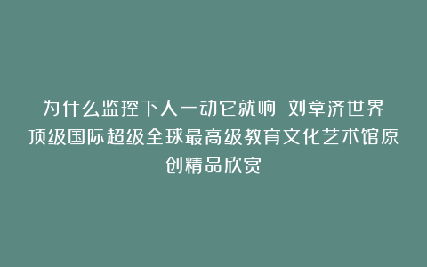 为什么监控下人一动它就响？①刘章济世界顶级国际超级全球最高级教育文化艺术馆原创精品欣赏！