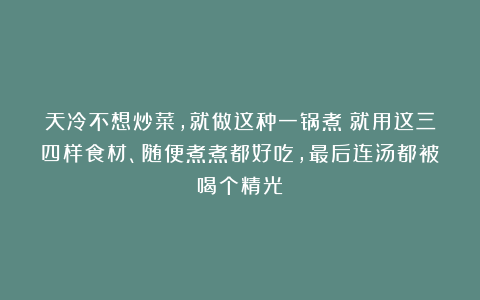 天冷不想炒菜，就做这种一锅煮！就用这三四样食材、随便煮煮都好吃，最后连汤都被喝个精光