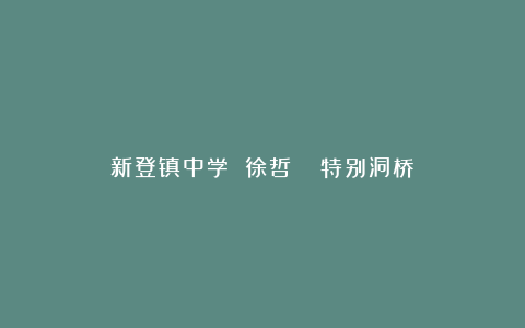 新登镇中学 徐哲 | 特别洞桥