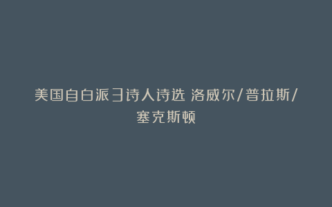 美国自白派3诗人诗选：洛威尔/普拉斯/塞克斯顿