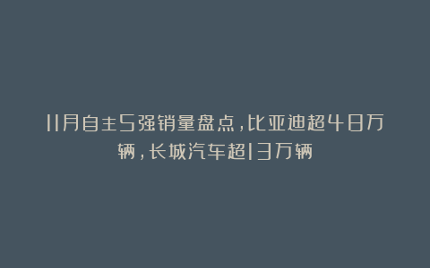 11月自主5强销量盘点，比亚迪超48万辆，长城汽车超13万辆