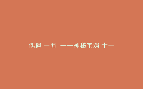 偶遇（一五〇）——神秘宝鸡（十一）