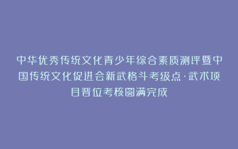 中华优秀传统文化青少年综合素质测评暨中国传统文化促进会新武格斗考级点·武术项目晋位考核圆满完成